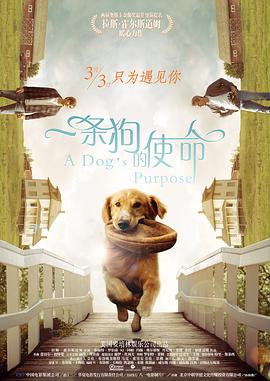 亚洲国产一