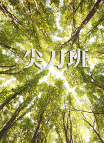 欧美精品亚洲精品日韩专区va