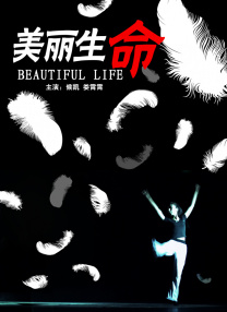 精品一区二区三区高清免费观看