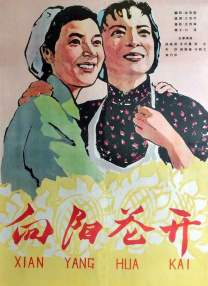 远亲小姐2