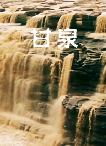 陪伴姨妈